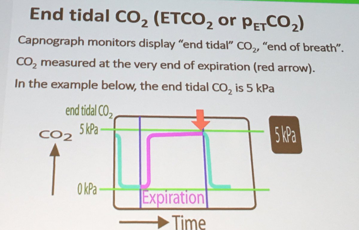 end tidal co2 monitoring cpr - Elvina Stackhouse