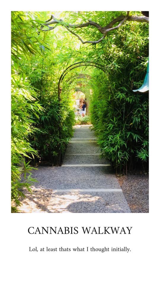 GabriellasTea's tweet image. #lostinthewoods#free&amp;amp;happy!!!!
@GabriellasTea