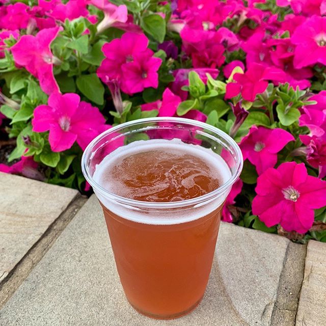 BrewedClues's tweet photo. Spring has sprung🌷🙌 If you can’t make time for sleuthing this month, never fear! June dates are up on the website and the July schedule will be posted in just a few weeks🕵️‍♀️ https://t.co/kfBrplzvyD https://t.co/0TE8FRYgps