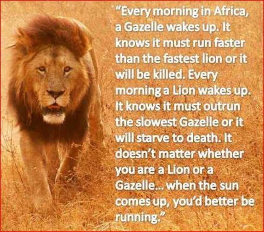 GurusSecurity's tweet image. Whether it's your business, your side hustle or your job, you gotta put the work in if you want to get the results out.

Focus
Action
State Management
Timing
Execution
Rejoice and Reset

The FASTER Principle.
