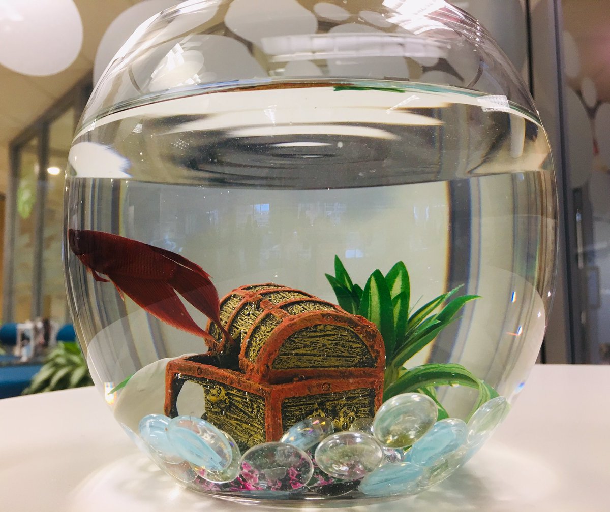 Chris McGinn tweet media