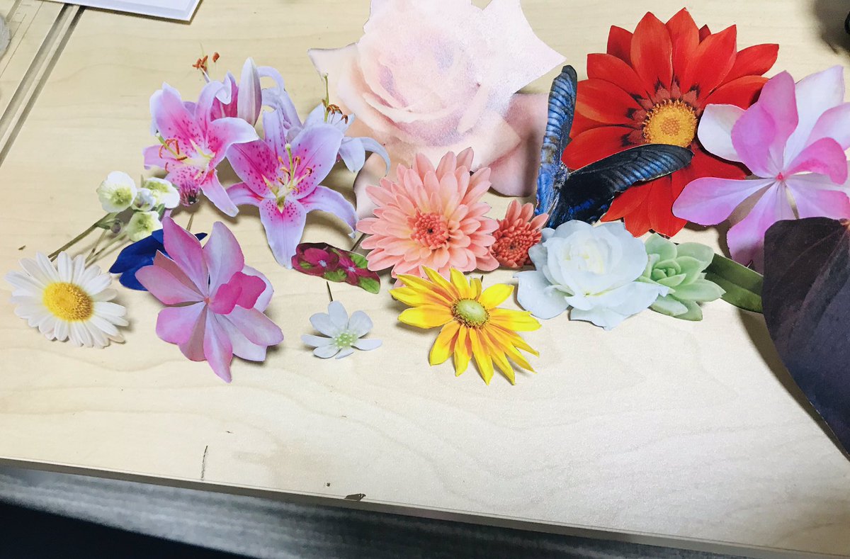 RyuRyu3728's tweet photo. 切り抜きピン花。 https://t.co/YynsdPvsUU