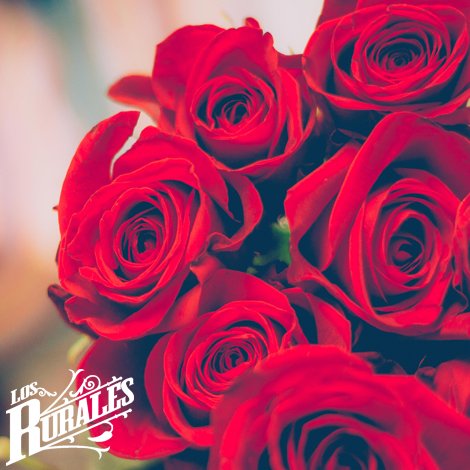 ¡Los Rurales le desea a todas las mamás un #FelizDiaDeLasMadres!

#DíaDeLasMadres
#CDMX