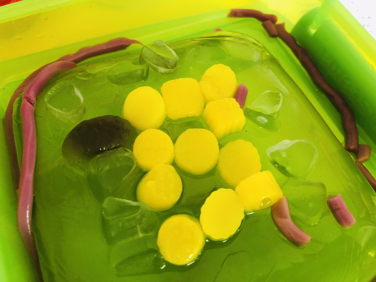 Walking around the school, I am often stunned by some of the work on display. Please come and see the excellent work Year 6 have been doing on plant cells! <a href="/ThePrebendal/">The Prebendal School, Chichester</a>