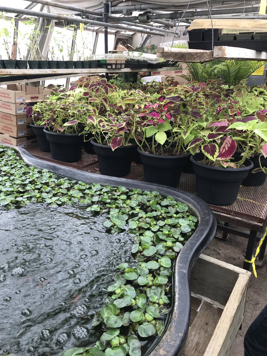 Sue Noort tweet media