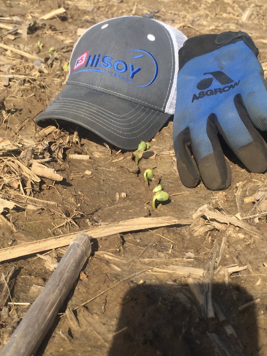 seedman78's tweet photo. We can turn the heat on anytime! @PrairielandFS https://t.co/u3X1U5WTS8