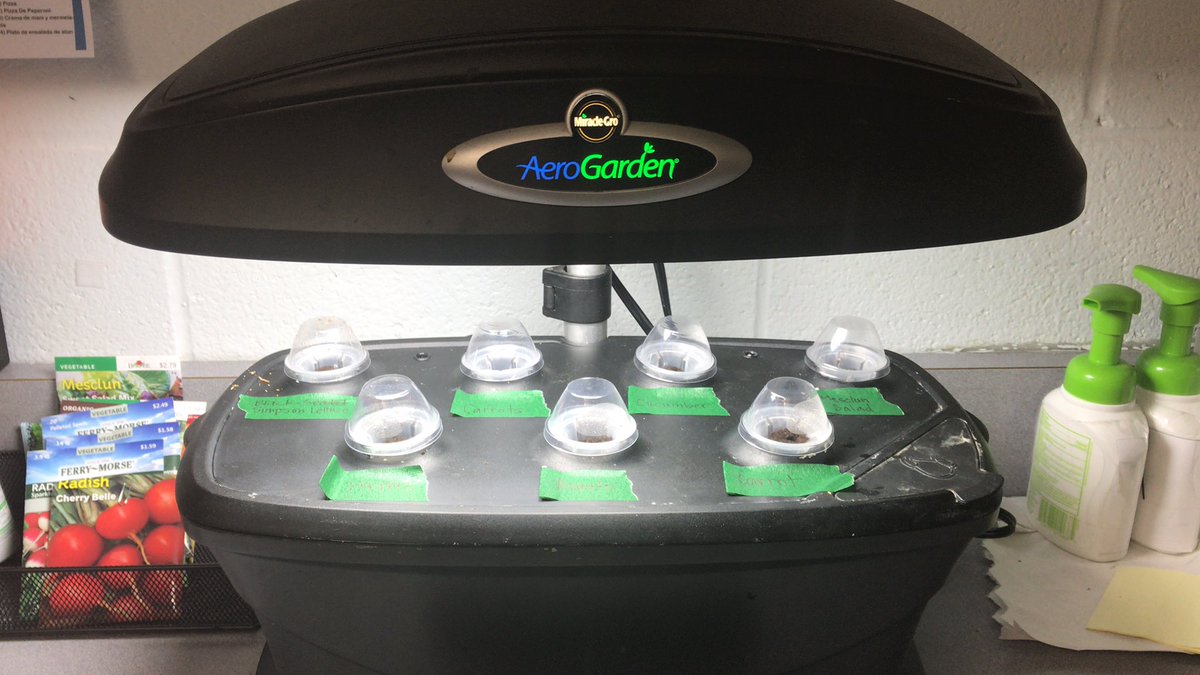 MrsDickey1's tweet photo. Starting seeds inside to compare growth rates to outside https://t.co/GEuZn3N5Fl