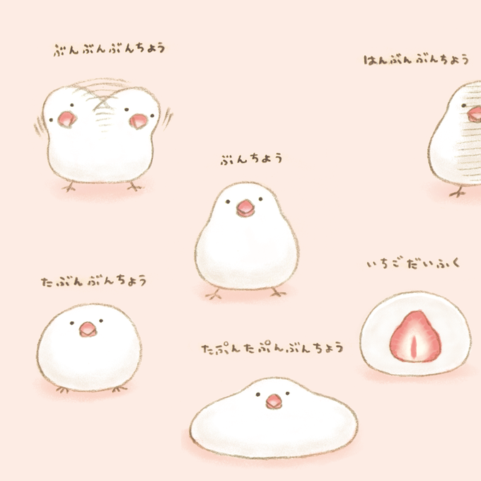 鳥大好き??
#愛鳥の日 #愛鳥週間 