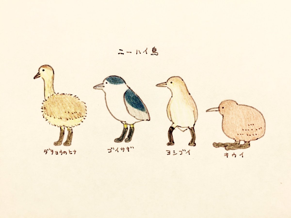 「鳥大好き??
#愛鳥の日 #愛鳥週間 」|よこみぞゆりのイラスト