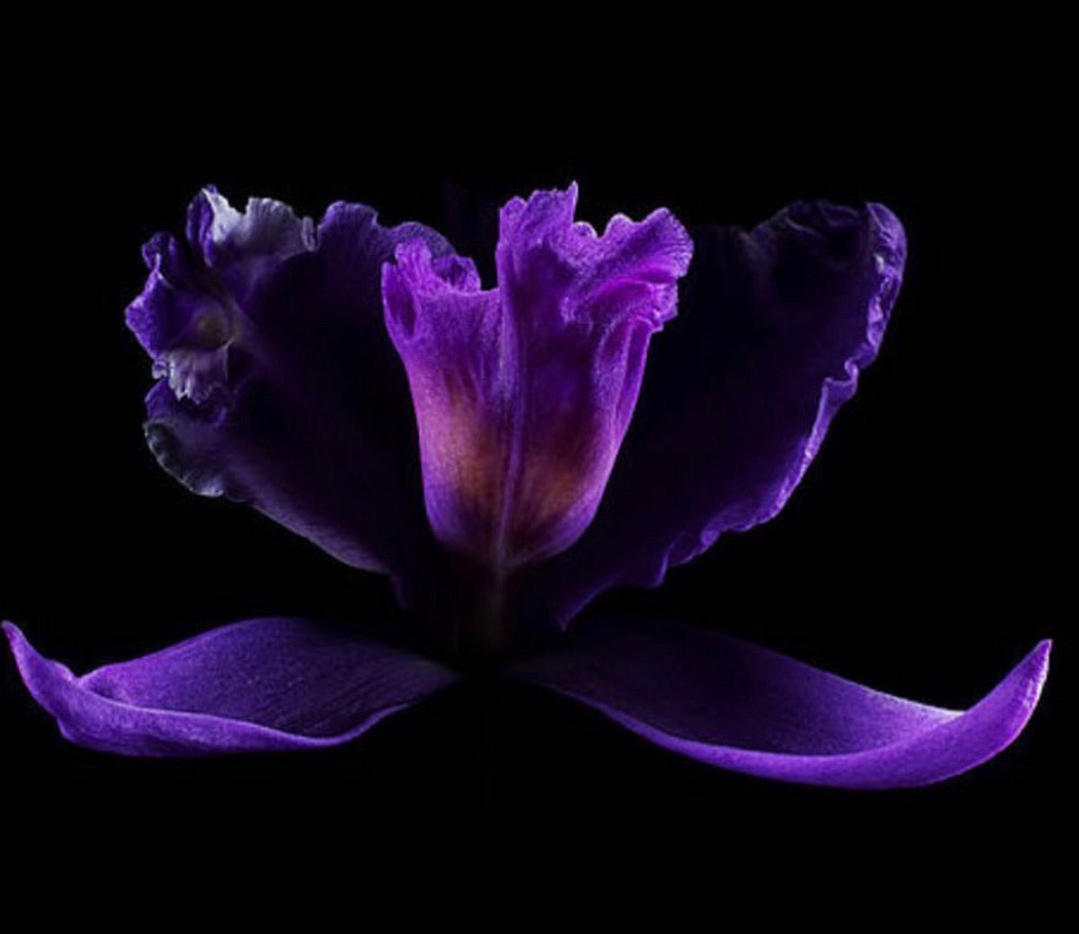 different3013's tweet image. { إِنَّ اللَّهَ وَمَلَائِكَتَهُ يُصلُّونَ عَلَى النَّبِيِّ يَا أَيُّهَا الَّذينَ آمَنُوا صَلُّوا عَلَيْهِ وَسَلِّمُوا تسلِيماً }
قَالَ رسول الله صَلَّى اللَّهُ عَلَيْهِ وَسَلَّمَ : ( مَنْ صَلَّى عَلَيَّ وَاحِدَةً , صَلَّى اللَّهُ عَلَيْهِ عَشْراً ) روَاهُ