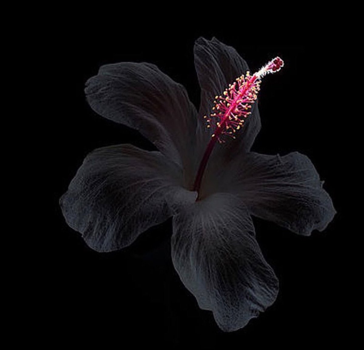 different3013's tweet image. { إِنَّ اللَّهَ وَمَلَائِكَتَهُ يُصلُّونَ عَلَى النَّبِيِّ يَا أَيُّهَا الَّذينَ آمَنُوا صَلُّوا عَلَيْهِ وَسَلِّمُوا تسلِيماً }
قَالَ رسول الله صَلَّى اللَّهُ عَلَيْهِ وَسَلَّمَ : ( مَنْ صَلَّى عَلَيَّ وَاحِدَةً , صَلَّى اللَّهُ عَلَيْهِ عَشْراً ) روَاهُ