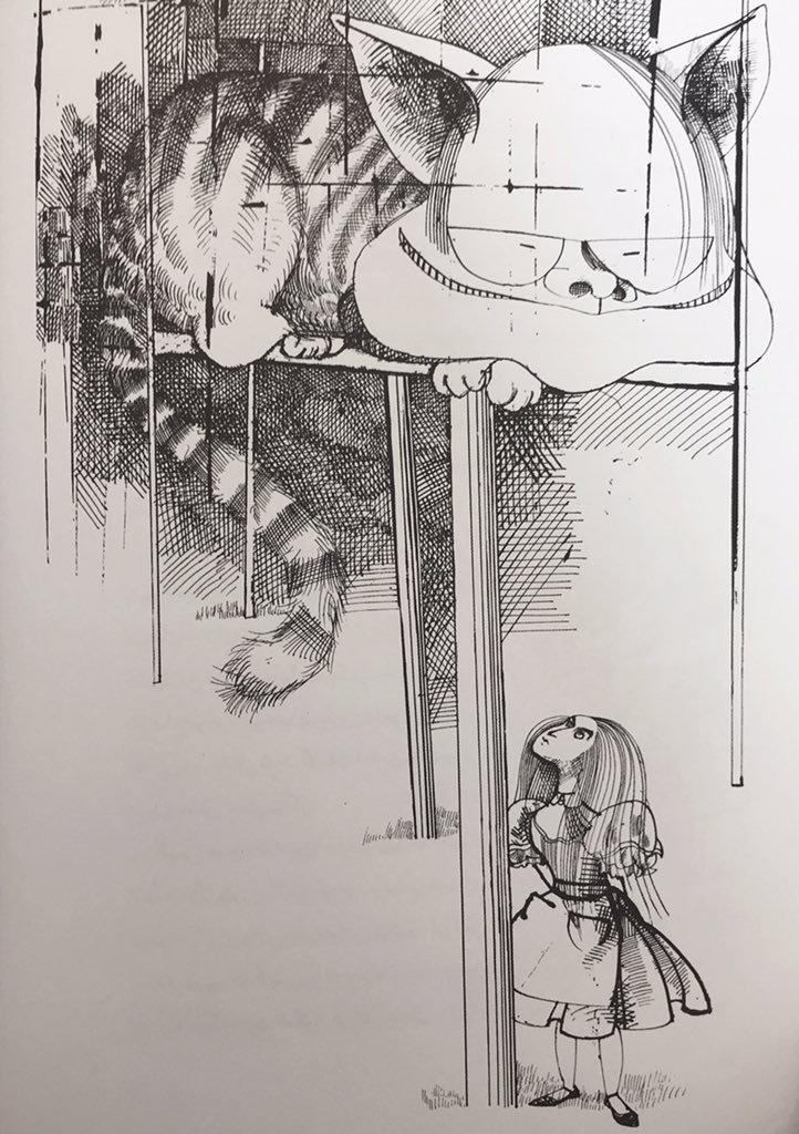 BlueJay ☾ tweet media