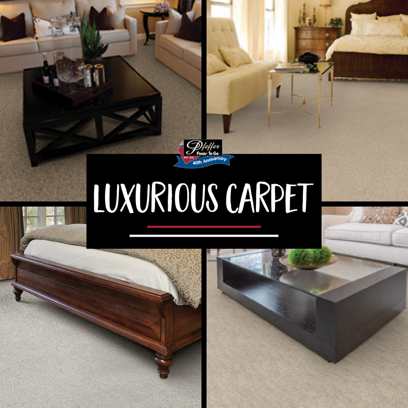 FloorPfeffer's tweet photo. Luxurious Carpet is a wow factor! To see our samples, stop by our showroom located at 703 D'Olive St. in Bay Minette or give us a call when you're ready to install new flooring in your home (251) 937-2189. #PfefferFlooring #Carpet #HomeImprovement https://t.co/Fzv90m8ow2
