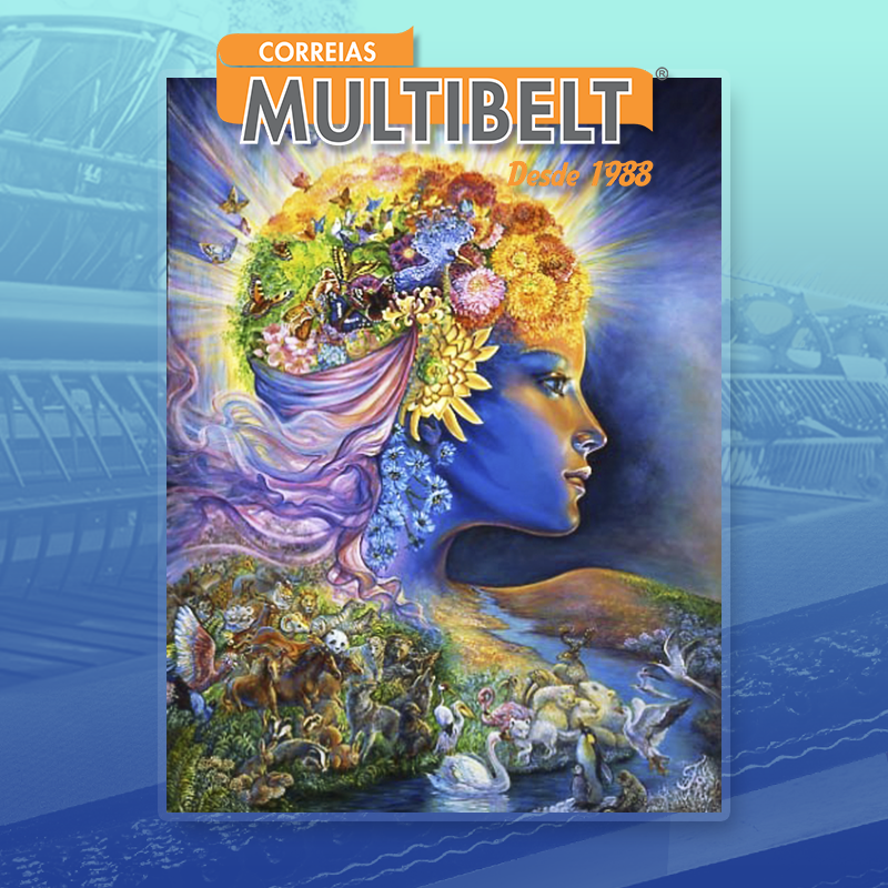 _multibelt tweet picture