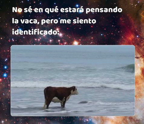 javiermorcast's tweet photo. Completamente jjj https://t.co/3LvTQa9SAZ
