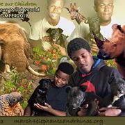 pebbletossers's tweet photo. Take Action and Volunteer at the Global March for Elephants and Rhinos on Sat. May 11 https://t.co/ZXqV4W957O for details. @EleRhinoMarch #thewunderdogs #MarchAgainstExtinction. https://t.co/nZLMFZEVxc