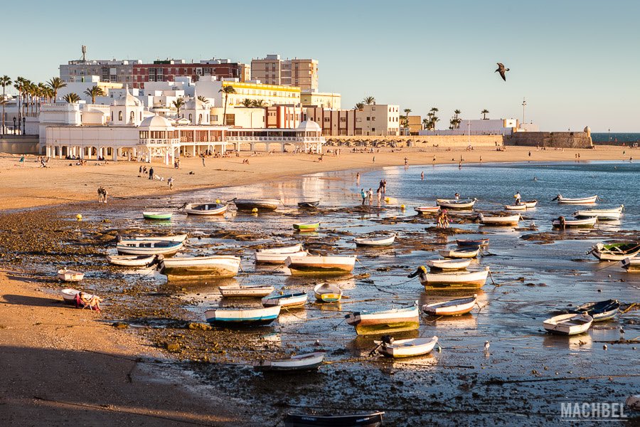 luucrrrl's tweet photo. Nadie:
Yo: mirad que preciosidad es Cádiz https://t.co/nOPAmvrpUf
