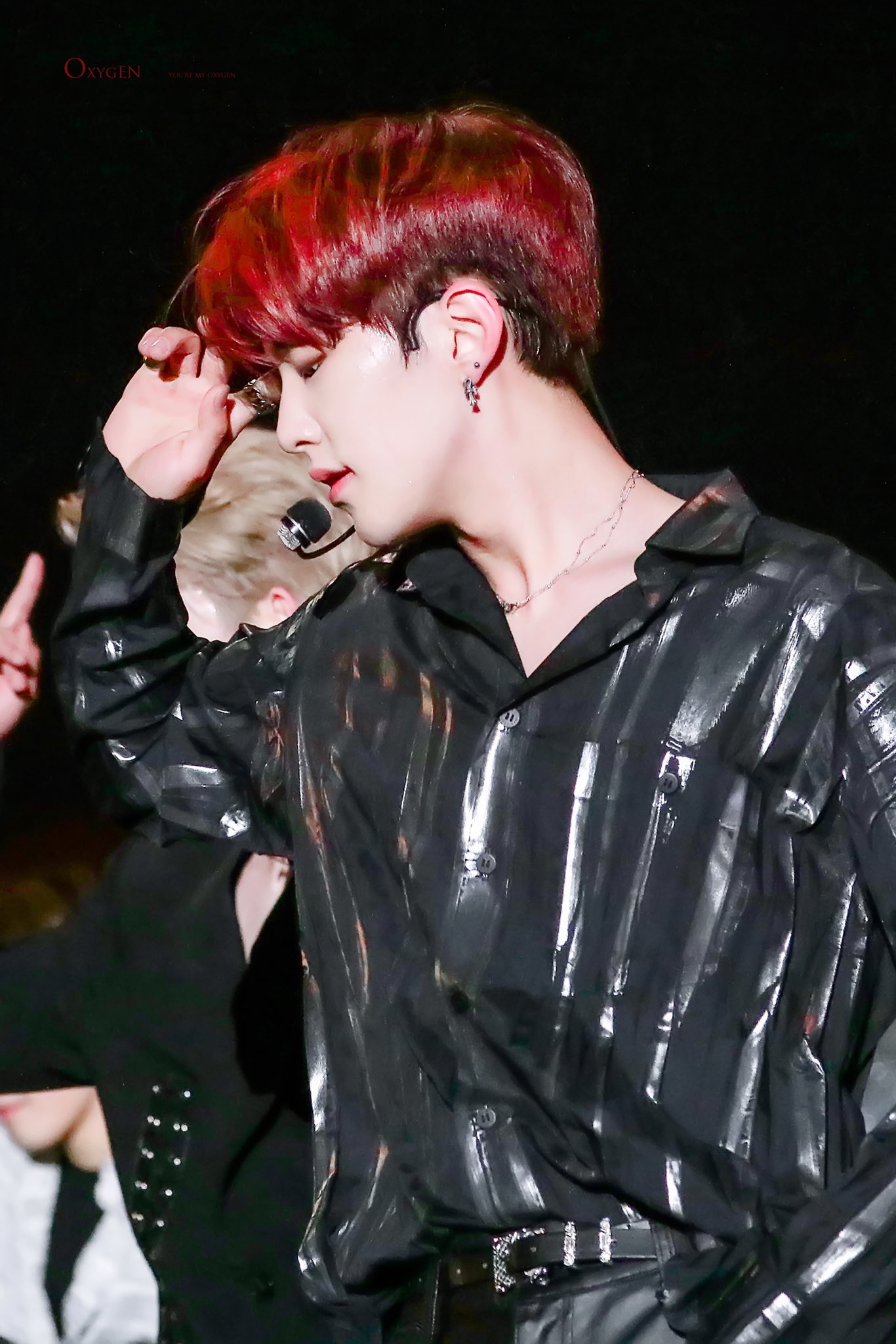 hoshi⭐︎ 🐱🐯🐈‍⬛🍚 on X: 