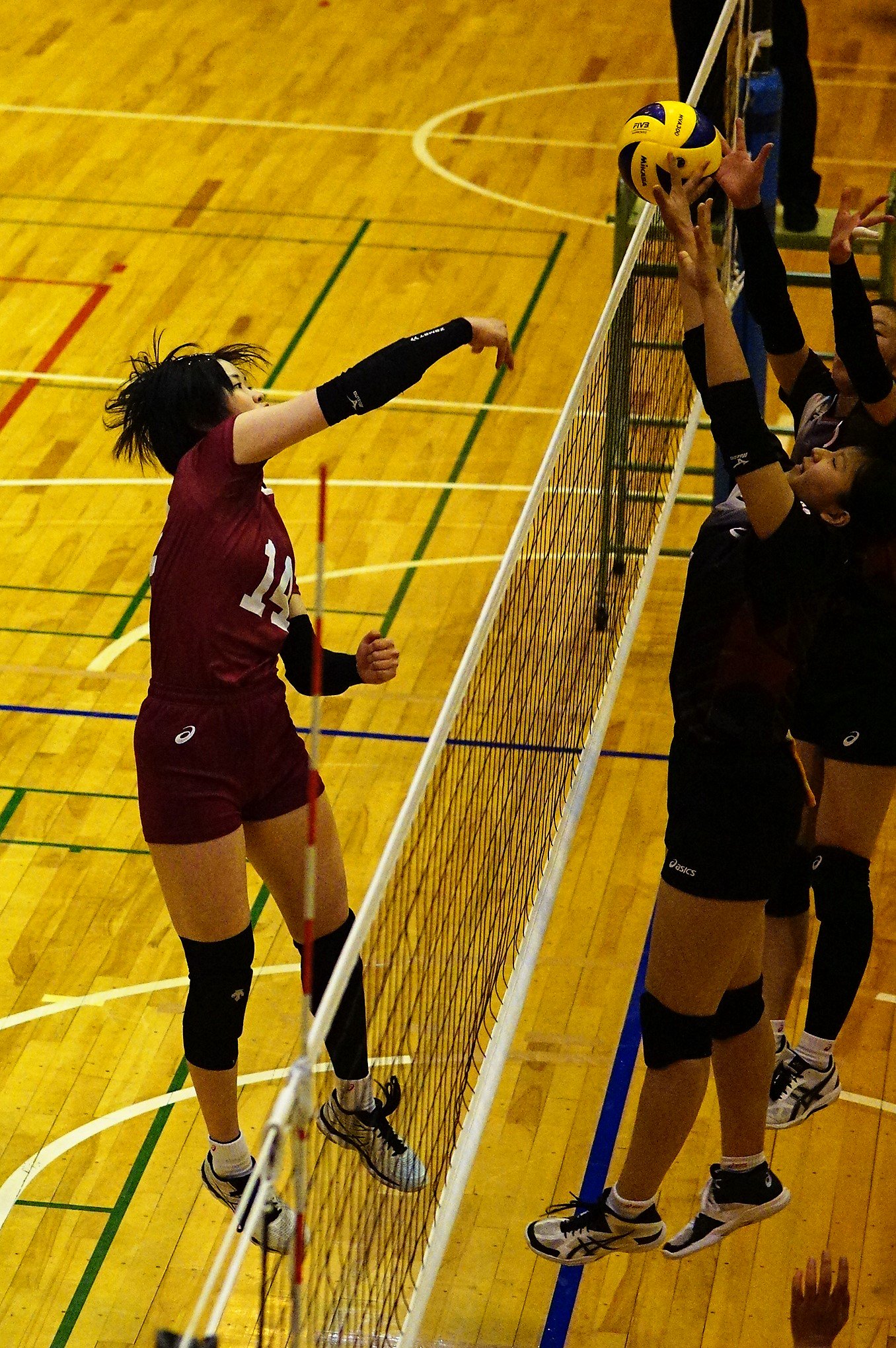 てつ 山下日和 選手 早稲田大学女子バレーボール部 関東大学バレーボールリーグ戦 大学女子バレー 頑張れ早稲田 写真 19 04 28 大東文化大学東松山キャンパス T Co Eiuqc4c2he Twitter