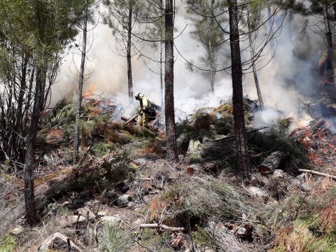 sis_2b's tweet image. #Expertise 🔥
Opération de Brûlage dirigé à l&apos;initiative de @ONF_Officiel, hier en forêt territoriale, sur la commune de #Bastelica avec la participation de la cellule emploi du feu du @sdis2b @sdis2a 👨‍🚒 et les moyens des #FORSAP, #UIISC5  et @IsulaCorsica 👌