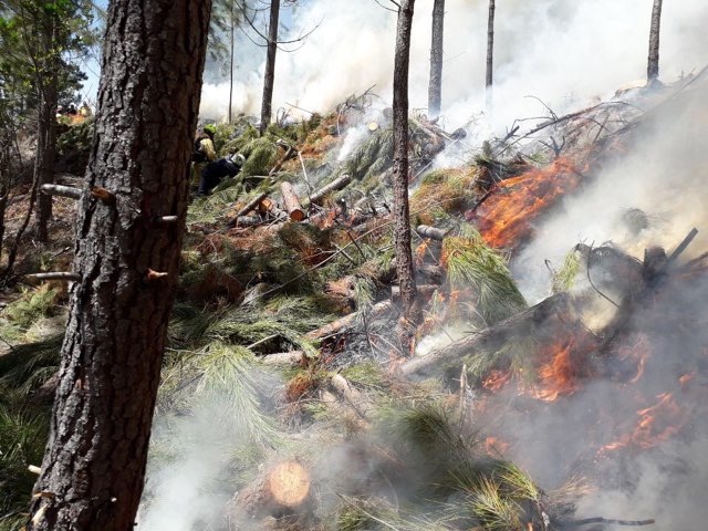 sis_2b's tweet image. #Expertise 🔥
Opération de Brûlage dirigé à l&apos;initiative de @ONF_Officiel, hier en forêt territoriale, sur la commune de #Bastelica avec la participation de la cellule emploi du feu du @sdis2b @sdis2a 👨‍🚒 et les moyens des #FORSAP, #UIISC5  et @IsulaCorsica 👌
