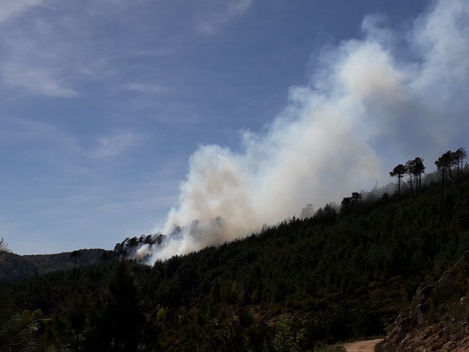 sis_2b's tweet image. #Expertise 🔥
Opération de Brûlage dirigé à l&apos;initiative de @ONF_Officiel, hier en forêt territoriale, sur la commune de #Bastelica avec la participation de la cellule emploi du feu du @sdis2b @sdis2a 👨‍🚒 et les moyens des #FORSAP, #UIISC5  et @IsulaCorsica 👌