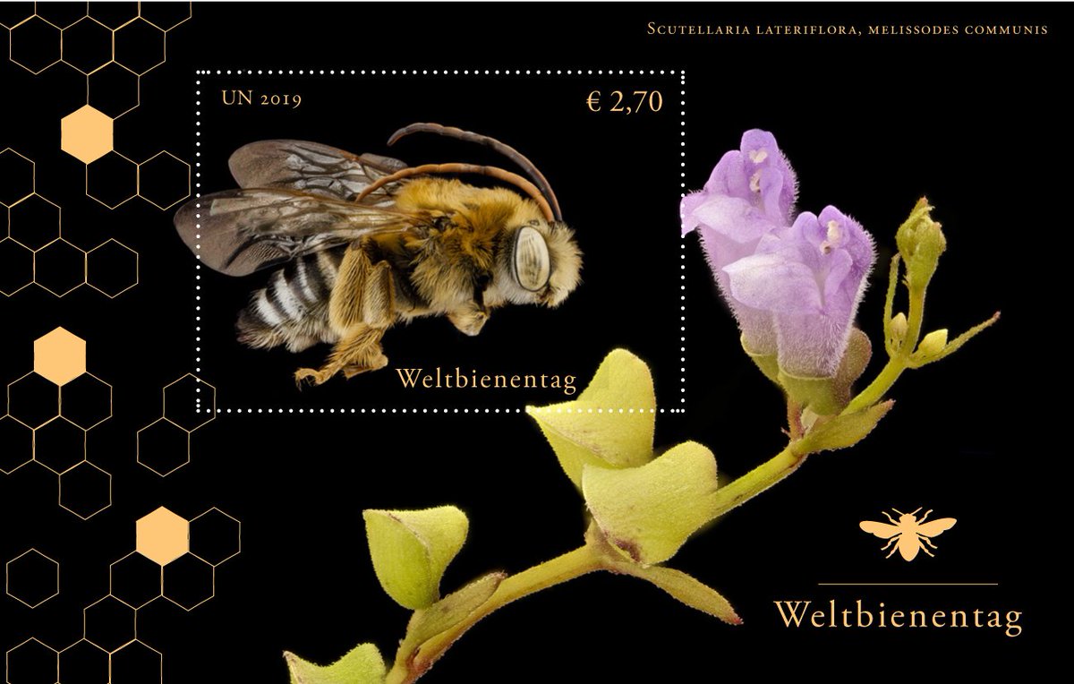 The #UN postal administration will issue 3 stamps showcasing bees and flowers to celebrate #WorldBeeDay!

#Bees and other pollinators play a crucial role in increasing crop yields and promoting food security and nutrition.

📩 unstamps.org

#savethebees #Stamps 🐝