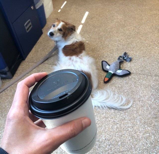 EH_Highbury's tweet image. Doesn't get better then coffee, sunshine and a dog (at work). Thanks for the coffee @PeoplesPlaceCP @EH_Highbury @IslingtonLife  #bringyourdogtoworkday #dogatwork #london #islington #communitycentre #funfriday #worklife #finsburypark #afterschoolclub #childcare