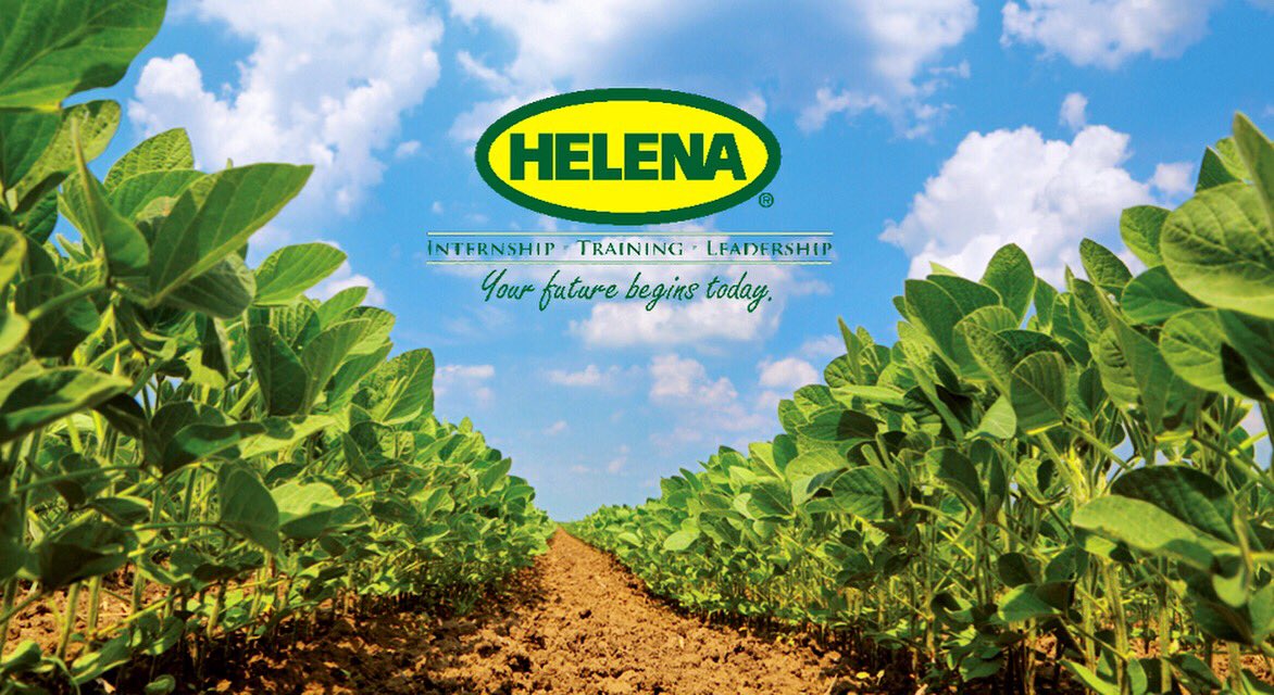 Helena Intern Team tweet media