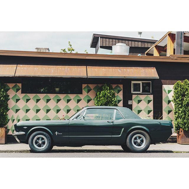 Perfectly Parked
.
.
.
#mustangv8 #mustangang_ #portlandoregonlife #colourfeed #pixsoulmag #toskamag #optionmag #peacewow #palepalmcollection #broadmag #observationmag #archaicmag #acanthusmagazine #thisaintartschool #thevisualvoices #thisplacezine #real… bit.ly/2HeHM9O