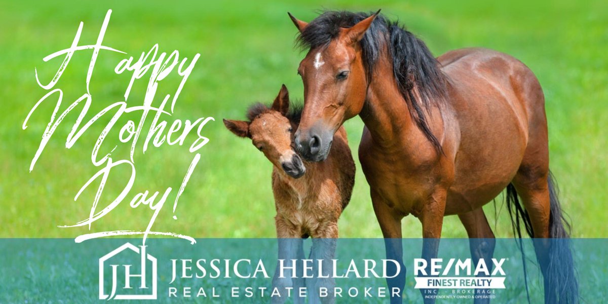 Happy Mother's Day to all the moms out there! What a challenging, rewarding, surprising, and incredible journey it is to be a mother. 🌷  ✨ #happymothersday #mom #realtormom #realtorlife #kingston_on #ygk #realestate #momsday #ontario #homeiswheremomis #momsrock