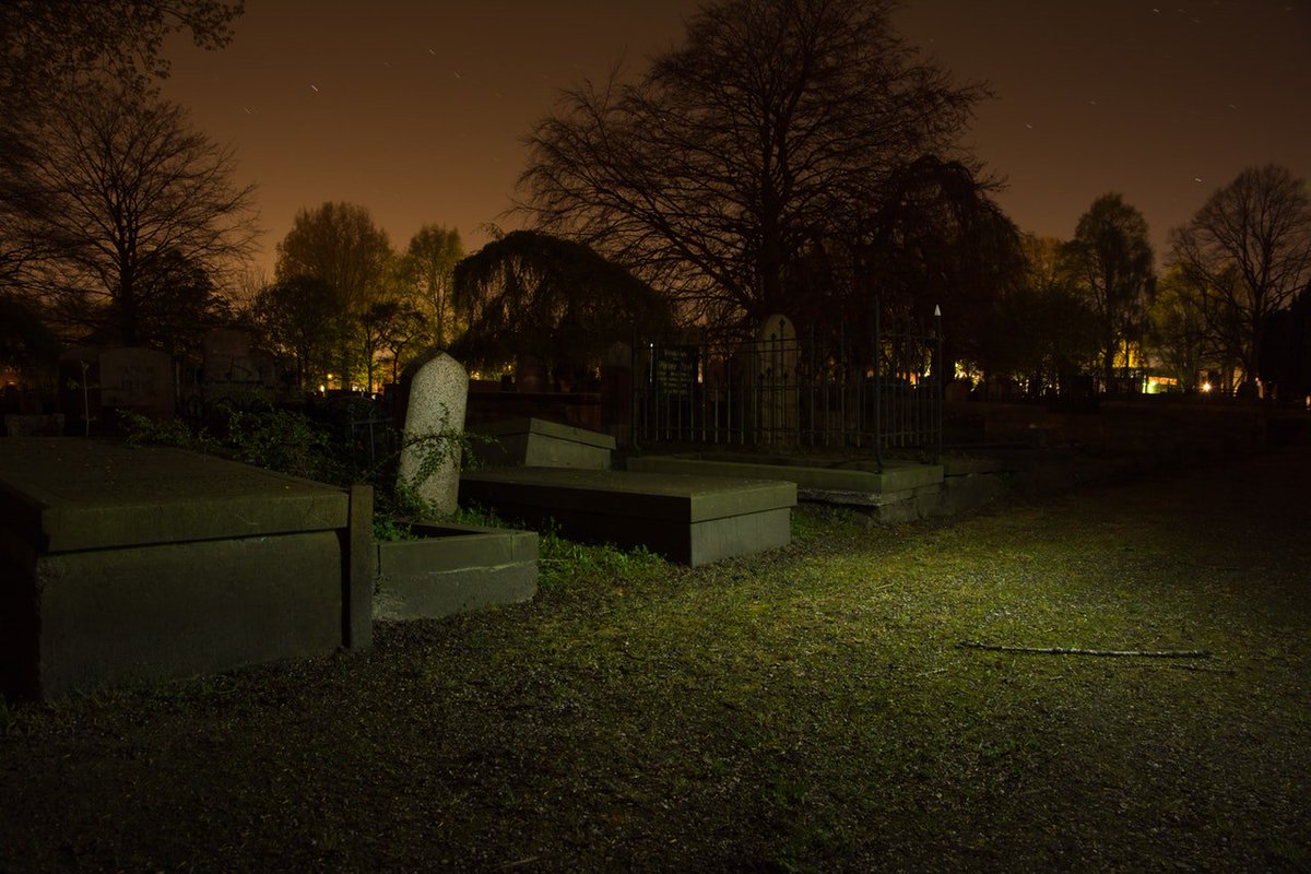 MedusaClone's tweet photo. Hidden in plain sight.

There is a graveyard in North East England reputed to hold the remains of the last gorgon victim.

Exhumations found no evidence. But when the gravestones were examined. One was found to contain human teeth.

#horrorreads #TheMedusaClone https://t.co/adtd7SzWJz