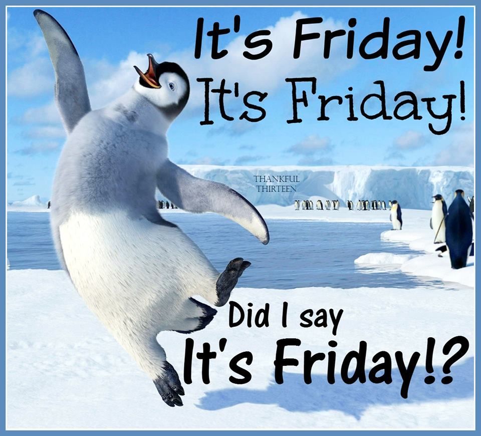 Its Friday Happy Friday Study And Go Abroad On Twitter: "Happy Friday Everyone! Who's Excited For  The Weekend?? What Are Your Plans? Https://T.co/Ftjjo7S0Sf" / Twitter