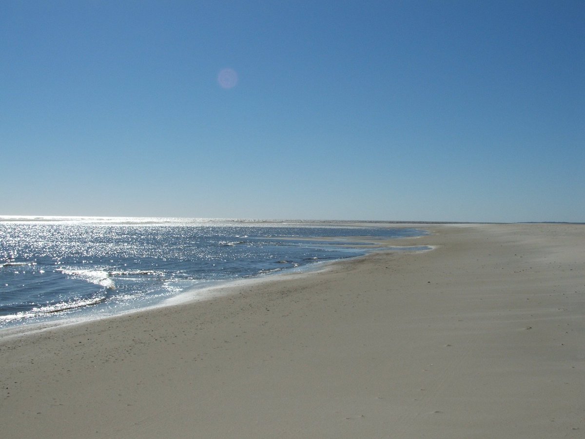 NFloridaWriter's tweet image. If you love nostalgia and the beauty of the beach and see, you'll love my books. amazon.com/James-Dick/e/B… #OBXNostalgia