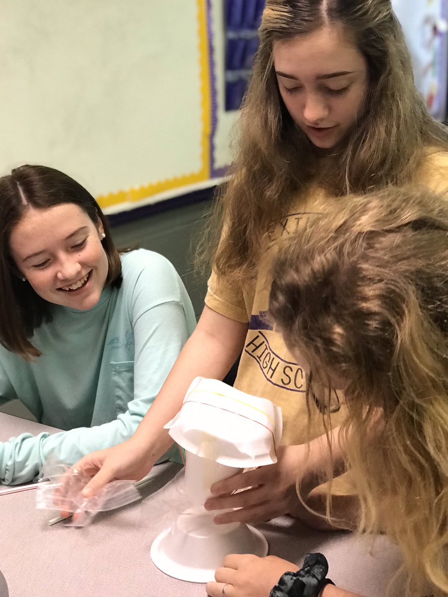 WhitneyBecker23's tweet image. The Egg Drop STEM Challenge was such a fun, engaging, end of the year activity. #bearsquad #AMSTIWorks #BeyondtheWorksheet @Lexington_Bears @AlabamaDeptofEd @amstiuna