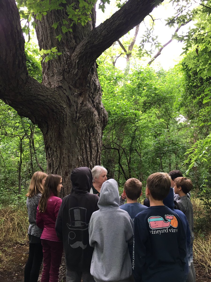 booklove717's tweet photo. How lucky we are in RISD to have the Environmental Studies Center! It’s always a blessing to be able to study ecosystems in a natural setting. Our 5th graders love visiting “Grandpa,” a 300 year old pecan tree. #risdconnects #lherocks https://t.co/HbQKFXGmiR