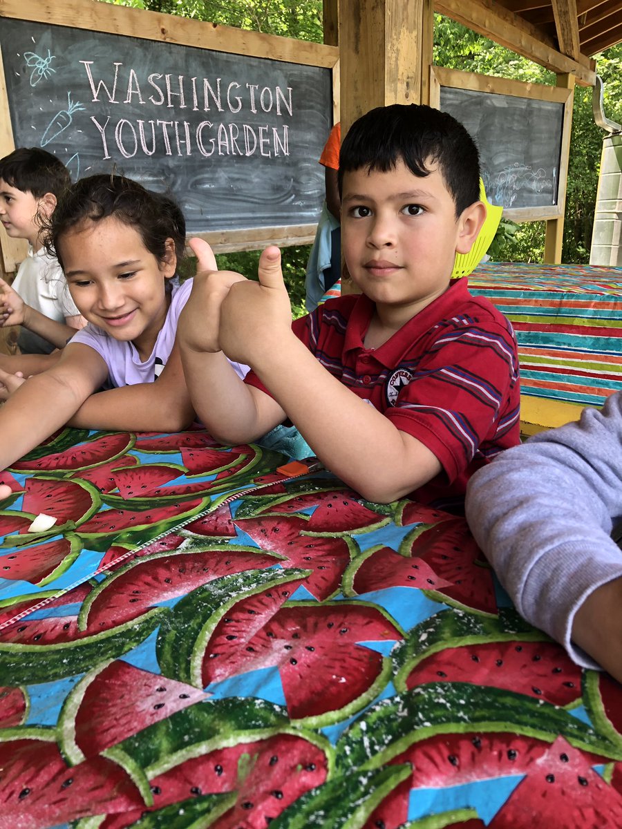 GRES_2ndGrade's tweet photo. 2 thumbs up for turnips, honey, sorrel, and field trips! #nationalarboretum #2ndisbest https://t.co/Up3W50AYjD