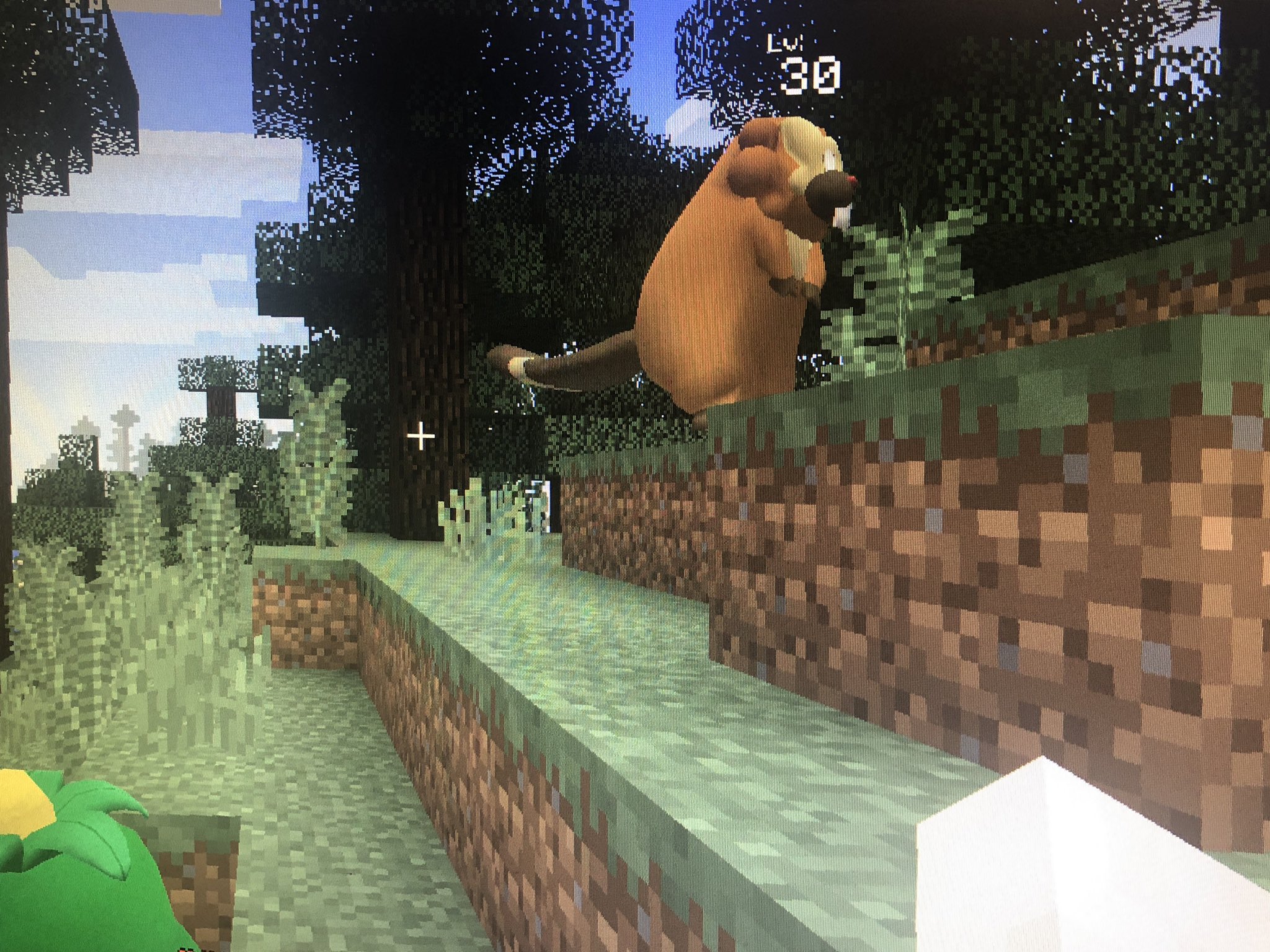 やまだ Yamada ピクセルモンmod またの名をポケモンmod ついに導入出来たぞ W マイクラ世界でポケモンやれるんじゃー T Co Vmbikzmtyu Twitter やまだ Yamada ピクセルモンmod またの名をポケモンmod ついに導入出来たぞ W マイクラ世界でポケモンやれるんじゃー T Co Vmbikzmtyu Twitter