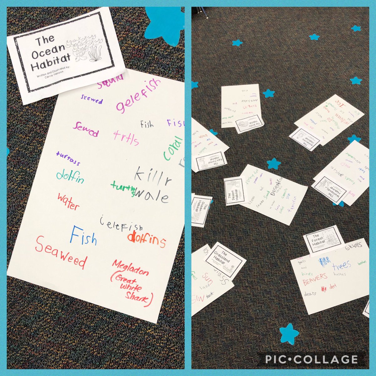 welcometo1C's tweet photo. Word splashes! After learning about different animal habitats, students recorded what you would see in each habitat to summarize important vocabulary. #ngespride #gpschat https://t.co/oKF3L22udd