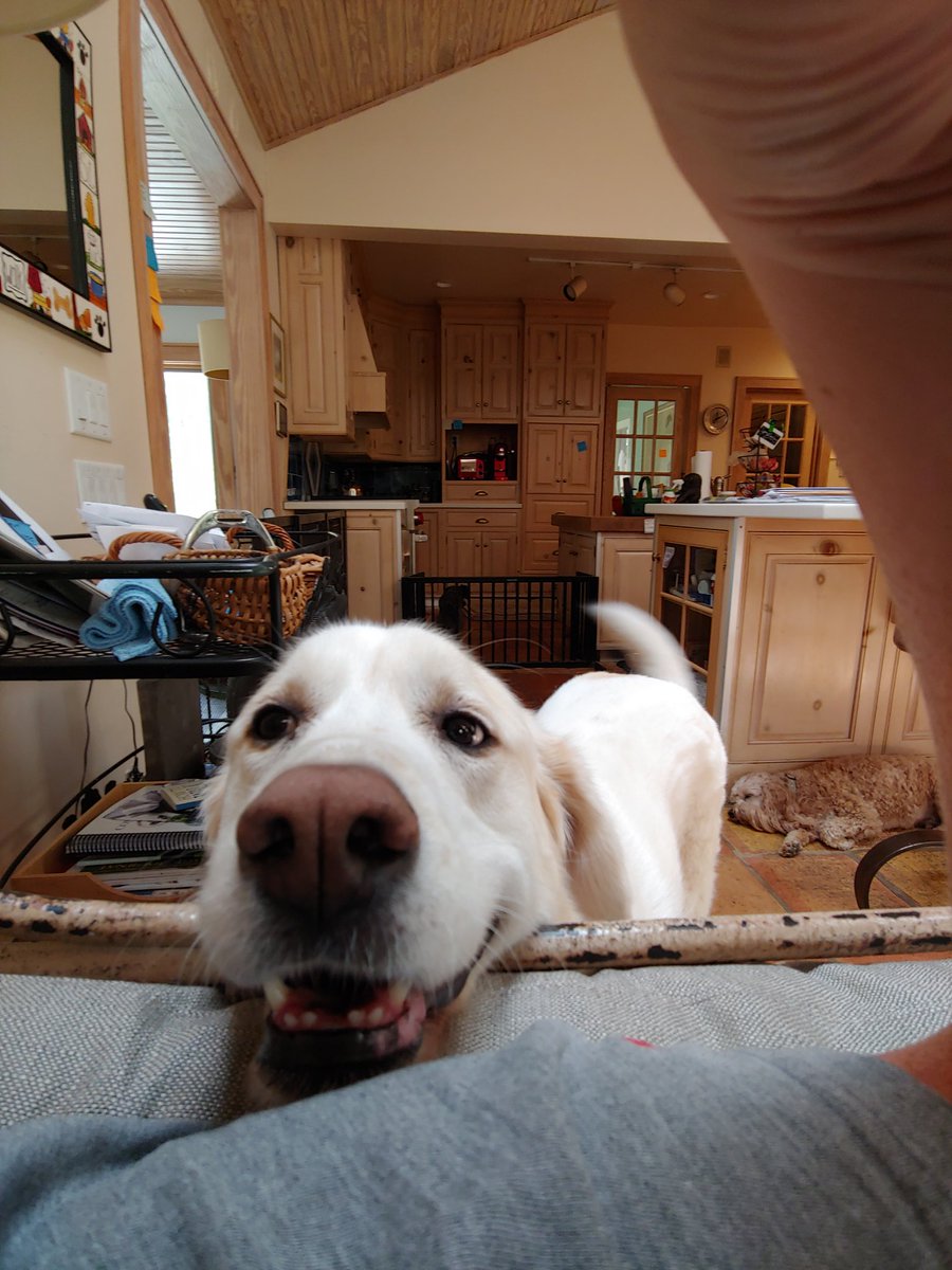 monkeybait7's tweet photo. Someone thinks she is the only one who can get attention. https://t.co/veauhdqIxg