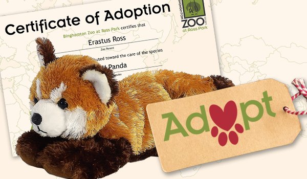 It's not too late to wish mom a happy #MothersDay by symbolically adopting her favorite species at the zoo! Four levels of adoption are available.

🌐 bit.ly/BingZooAdopt