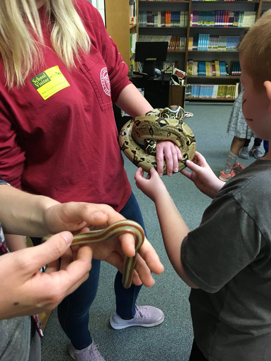 FallCreekES's tweet photo. Last day of Reading Week: dress like an animal, animal parade, whole-school read-in, visits from raptors, snakes and insects, tours of the world's biomes....a pretty terrific Celebration of Learning for the whole FC community. We are indeed Wild About Reading! https://t.co/1bdMZAoAQh