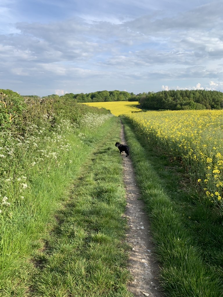 Perfect way to wind down on a Friday #MyWorkInspired