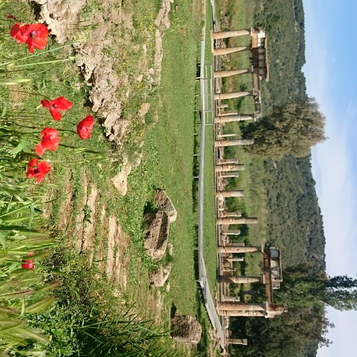 Moni_Hoffmann's tweet photo. Im Artemis-Heiligtum von #Brauron 🇬🇷 wird seit dem 8. Jhd.v.Chr. #Artemis verehrt, die Göttin der Jagd und Herrin der Tiere.. Das Heiligtum mit dorischem Tempel-Fundament, Stoa. Banketträumen, heiliger Quelle, Flussbrücke, Iphigenie-Kenotaph und Museum liegt im Osten von #Attika https://t.co/oljYEw0yWM