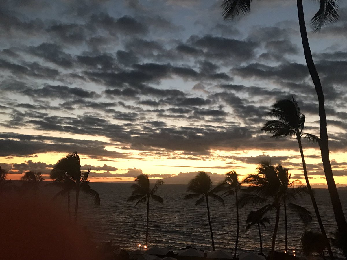 LukePres's tweet image. Aloha