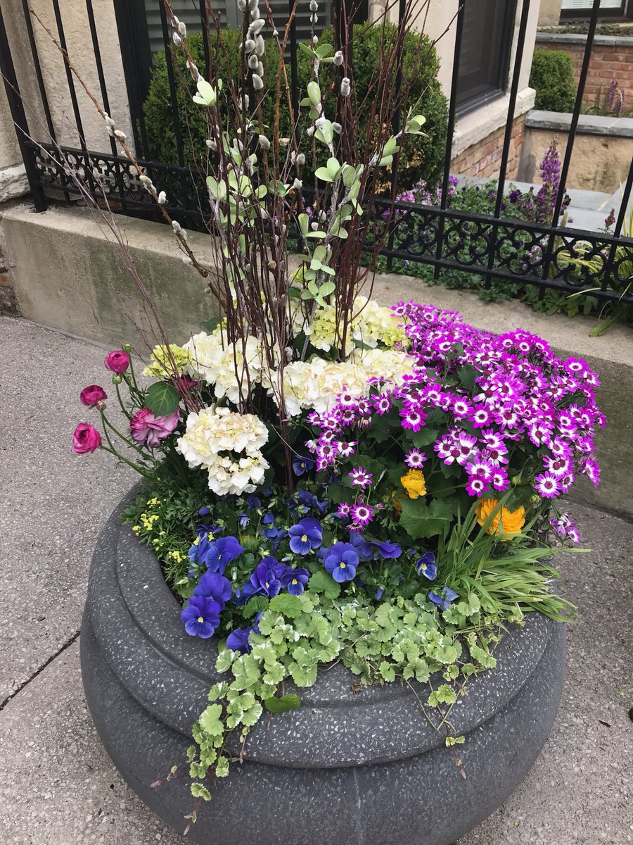 LCM_CurbAppeal's tweet photo. State Tower Condominiums got a #curbappeal makeover yesterday. What are you waiting for? 

#landscaping #flowers #planting https://t.co/nc9oyKMjhc