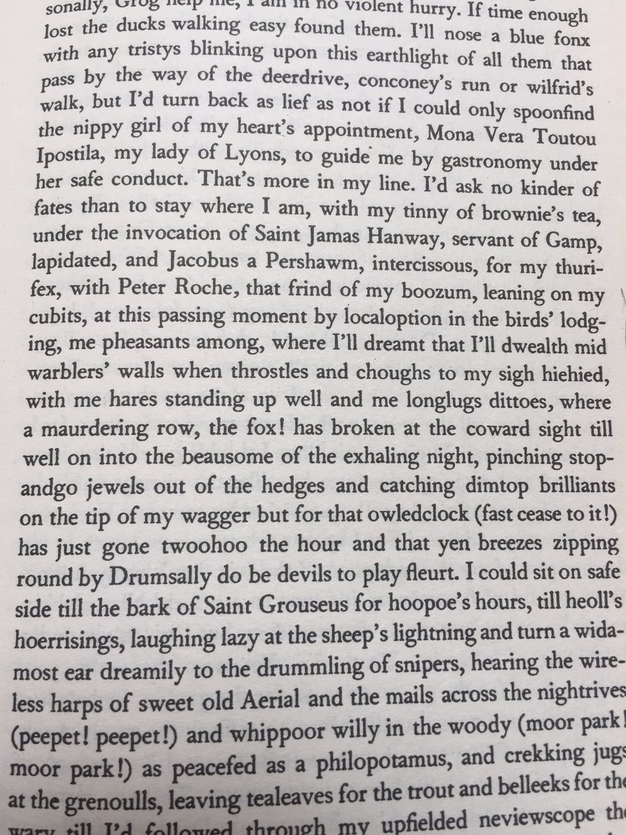 You go through page after indecipherable page and then you get to something like this which takes your breath away: “the beausome of the exhaling night”!