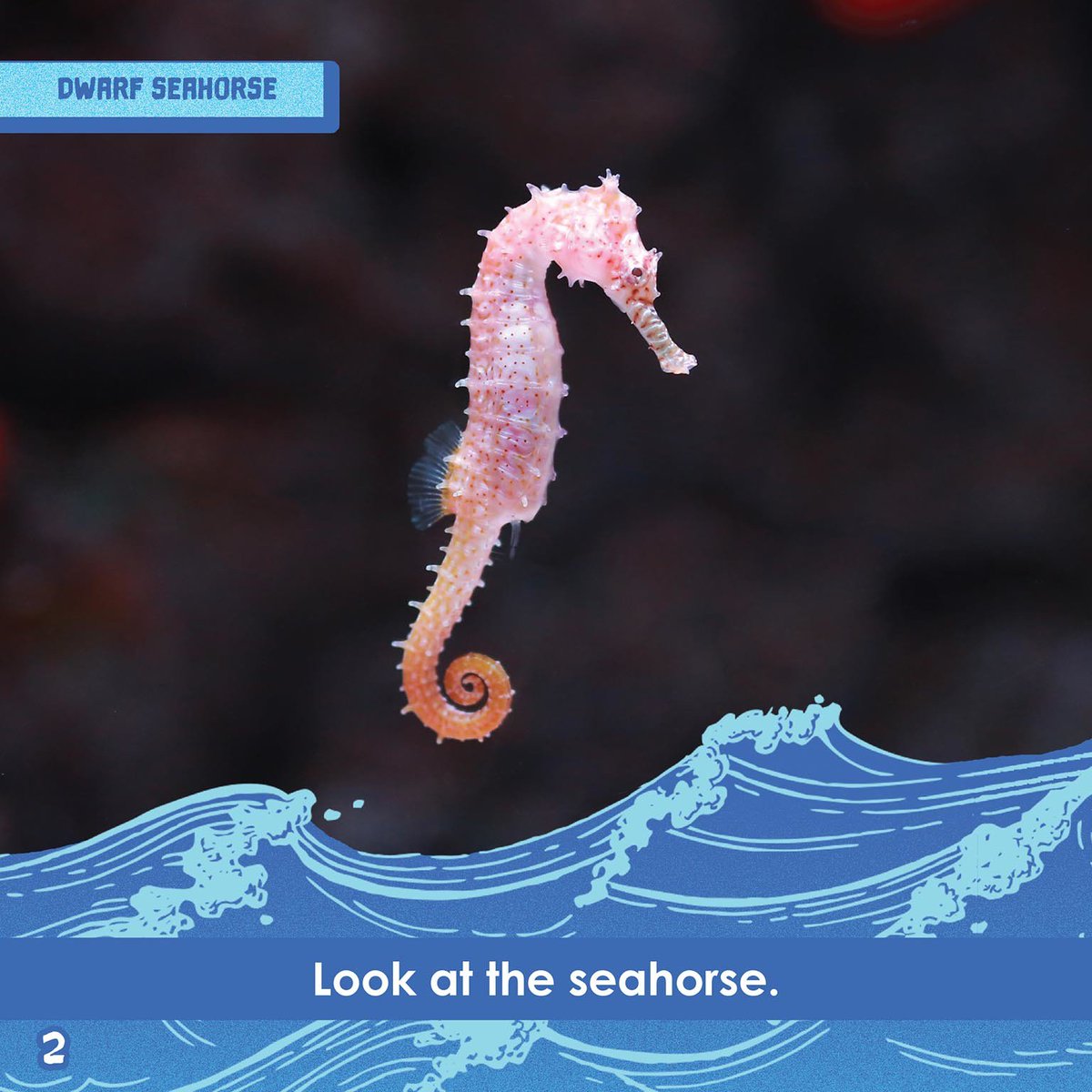 ARC Press tweet media