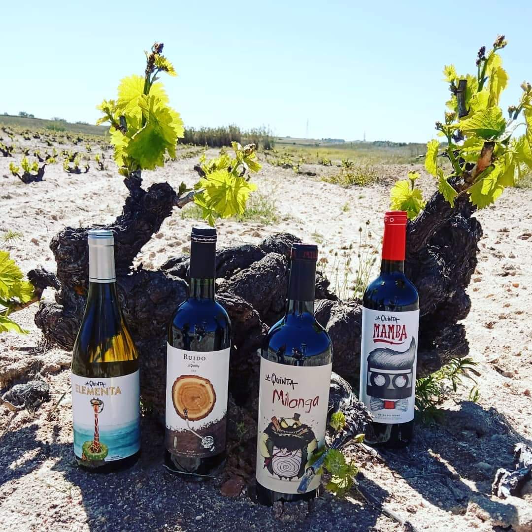 RDistribucion's tweet photo. La Quinta, año tras año superándose para ofrecer lo mejor de sus vinos ¿ Aún no los has probado? #bodegalaquinta #ruidobylaquinta #laquintaelementa #laquintamamba #laquintaelementa #cavabaja #tabernasdemadrid #madridfood #madrid #restaurantesmadrid #madridrestaurants #alcaladehen https://t.co/GM8jknAG0S