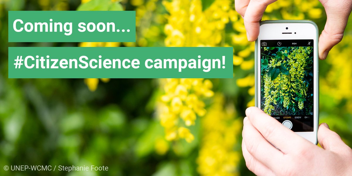 pvisconbio's tweet image. Excited to be part of a new #CitizenScience campaign, launching soon with @IIASAVienna @kewgardens @bgci @unepwcmc @UNSDSN! Stay tuned for a project that will help build a global #NatureMap with new flowering plant distribution data!